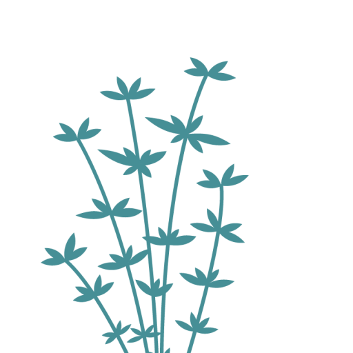 Dana M. Perry – herbalist